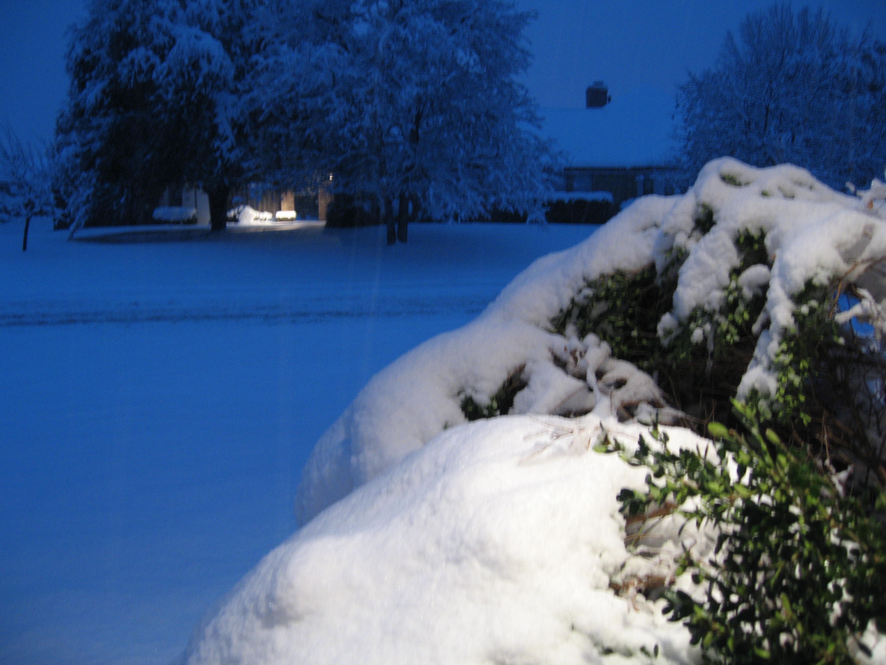 10.02.11 cedar hill snow scenes 044